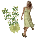 Woman stands to flower