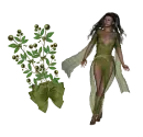 Woman stands to flower