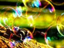 Bubbles