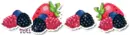 Berries Divider
