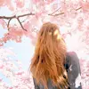spring ^^