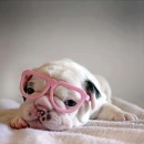 cute pics