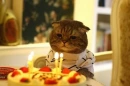 cute pics