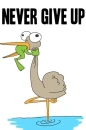 Never give up
