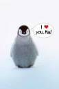 I love you ma!