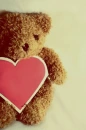 teddy