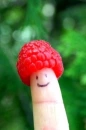 Toad
