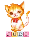 Judi