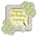Carina