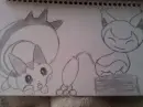 Pachirisu and Skitty