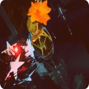 Flowerss