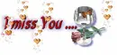 miss You ...