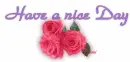 Have a nice Day