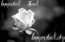 Immortal Soul