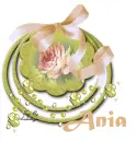 Beautiful flower-Ania