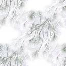 Frost - background