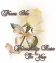 Friendship rose to you