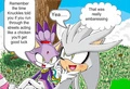 funny silvaze
