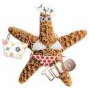 sea star