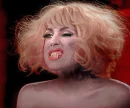 Vampire Gaga