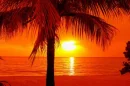 [url=http://www.glitter-graphics.com][img]http://dl5.glitter-graphics.net/pub/939/939425cdiy8p6frc.gif[/img][/url]