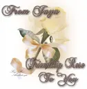 Friendship rose-Jaya