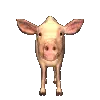 pig