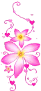 Animated gift