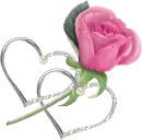 Pink Rose & Hearts