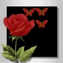 Red Rose & Butterflies