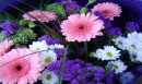 Spring Flowers Bouquet Background