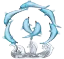 dolphin circle