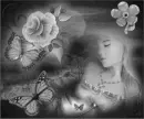 Silver Fantasy