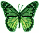 Green Butterfly