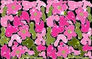 Pink and Green Flower Sparkles - Background