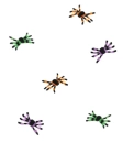 Spiders In Color