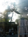 funbari