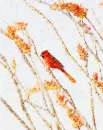 Cardinal Painting