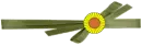  Sunflower  Ribbon Divider