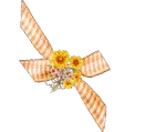  Ribbon Divider