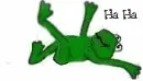 happy frog