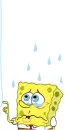 sponge pop