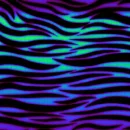 Neon Zebra
