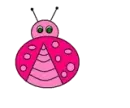 Pink Lady Bug - Background