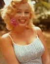 marilyn