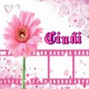 Pink Flower & Hearts Background - Cindi