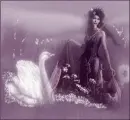 Lady & Swan