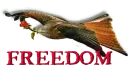 Eagle ~~ Freedom