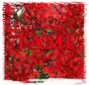 Tami 