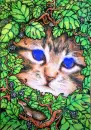 Eye